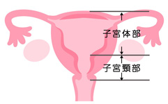 子宮がん検診